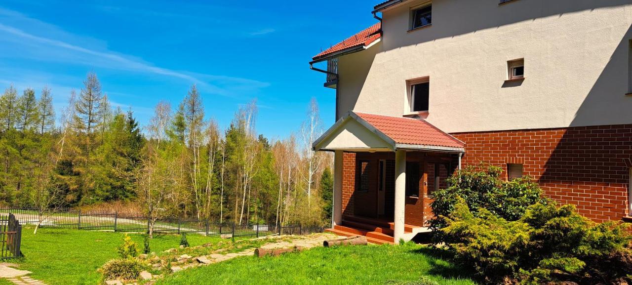 Gorskie Zacisze Bed and Breakfast Borowice Εξωτερικό φωτογραφία