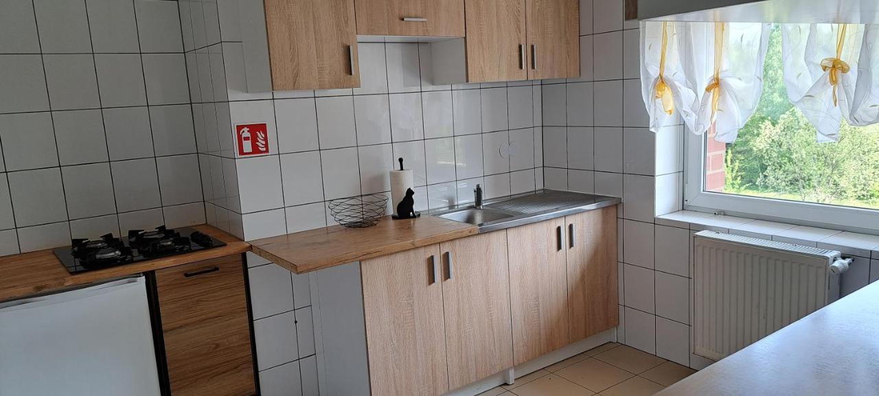 Gorskie Zacisze Bed and Breakfast Borowice Εξωτερικό φωτογραφία