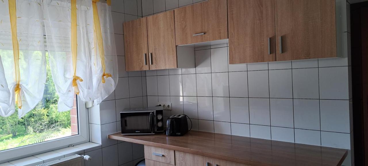 Gorskie Zacisze Bed and Breakfast Borowice Εξωτερικό φωτογραφία