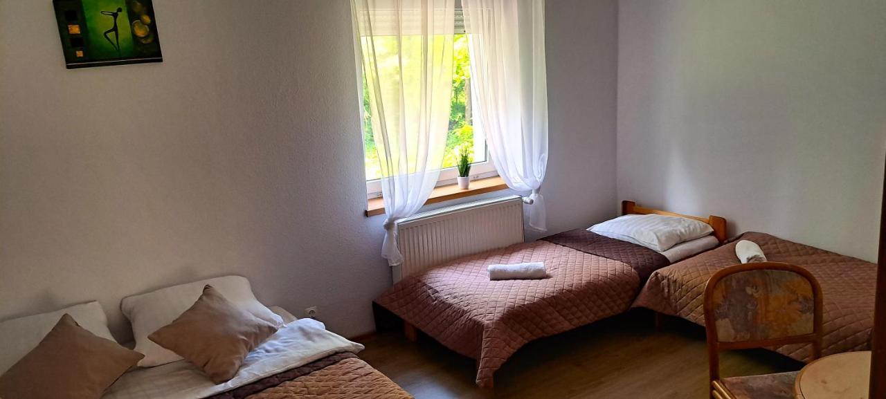 Gorskie Zacisze Bed and Breakfast Borowice Εξωτερικό φωτογραφία