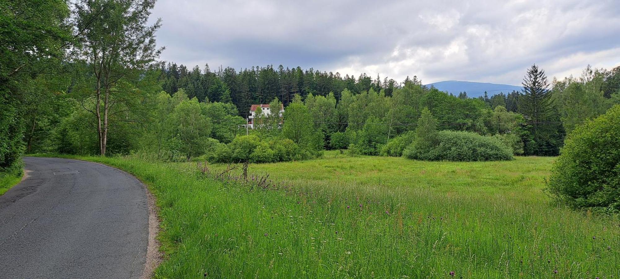 Gorskie Zacisze Bed and Breakfast Borowice Εξωτερικό φωτογραφία