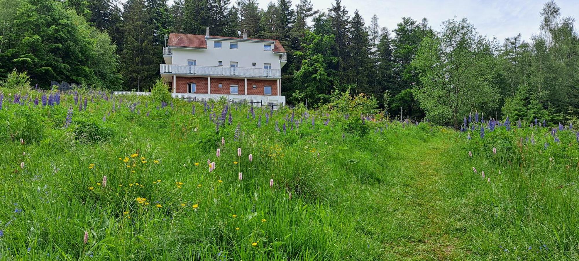 Gorskie Zacisze Bed and Breakfast Borowice Εξωτερικό φωτογραφία
