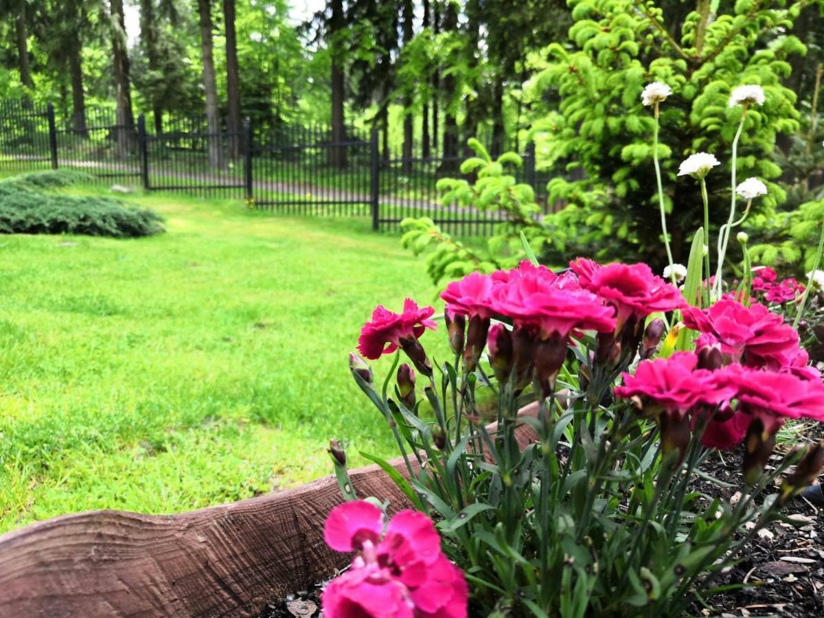 Gorskie Zacisze Bed and Breakfast Borowice Εξωτερικό φωτογραφία