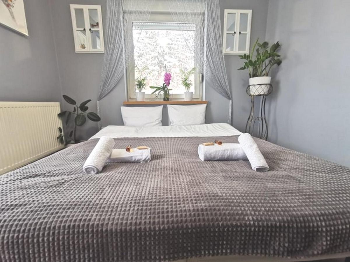 Gorskie Zacisze Bed and Breakfast Borowice Εξωτερικό φωτογραφία